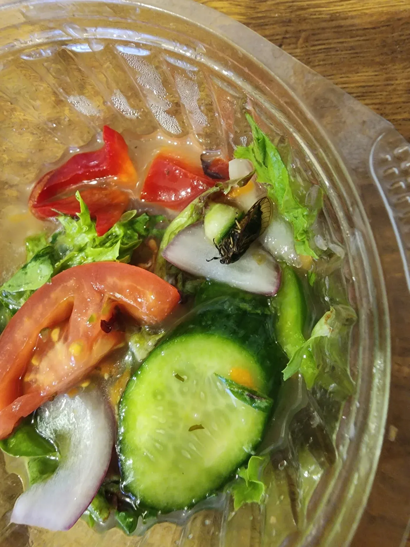 The Family Fleet - Seafood platter for 4+ people